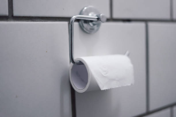 istock Toilet paper 1041794056