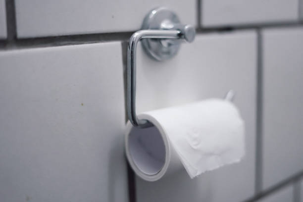 istock Toilet paper 1041794106