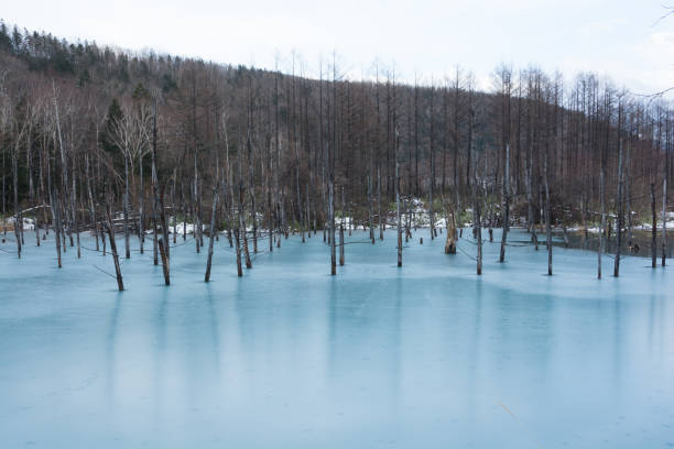 Early winter lake with ice in Biei