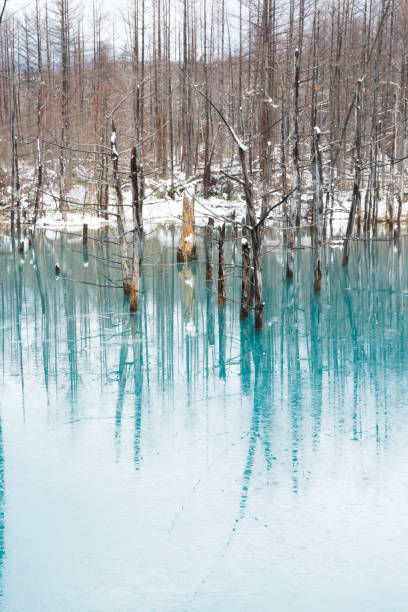 istock Early winter lake with ice in Biei 1041797146
