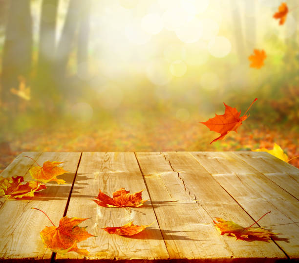istock Autumn maple leaves on wooden  table.Falling leaves natural background. 1041797388