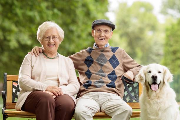 istock Senior couple with a dog sitting on a bench 1041802466