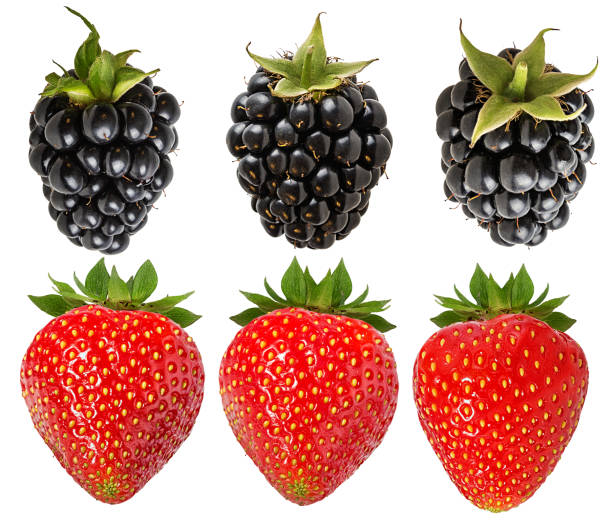 ripe strawberries and blackberries on white background