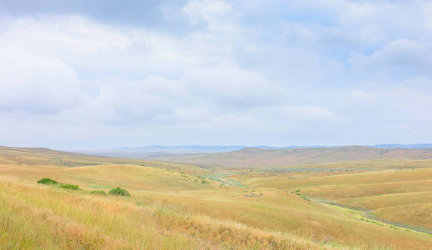 View across the prairie in summer, Montana, USA. Billings, Montana, USA. View across the rolling landscape of the prairie and a dry riverbed on an overcast day near Billings, Montana, USA. prairie stock pictures, royalty-free photos & images