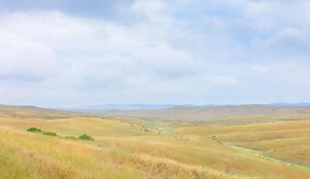 Photo of View across the prairie in summer, Montana, USA.