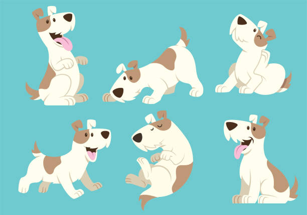 jack russel terrier hund cartoon-satz - carnivore stock-grafiken, -clipart, -cartoons und -symbole