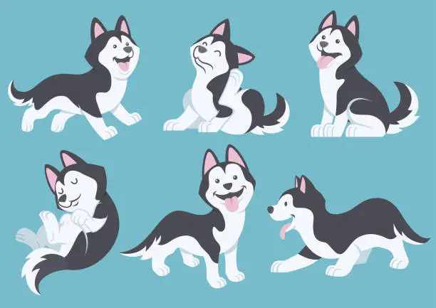 Vector illustration of husky dog cartoon set