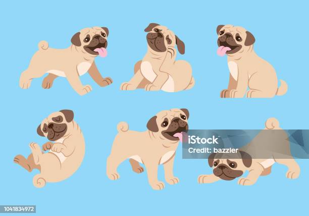 Pug Dog Cartoon Set Stock Illustration - Download Image Now - Pug, Vector, Domestic Life