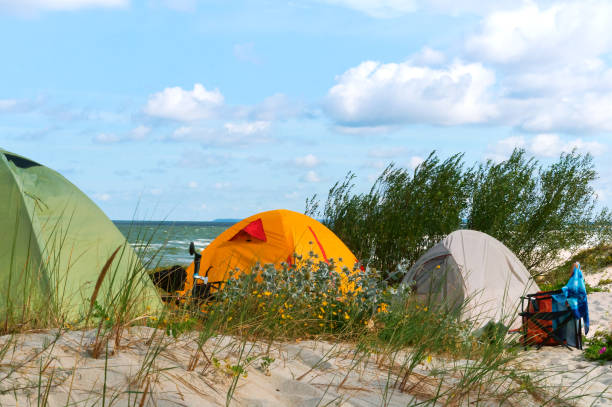 istock summer camping on the sea, three tents on the beach 1041835502