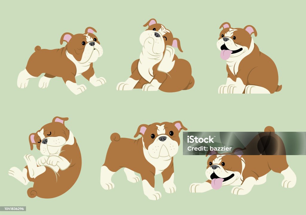 Bulldog Cartoon Set Stock Illustration - Download Image Now - Bulldog,  English Bulldog, Vector - iStock