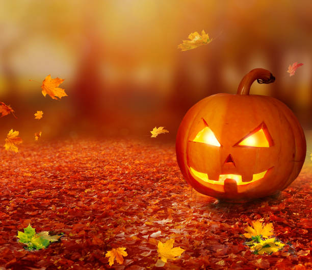 istock Halloween pumpkin in  spooky autumn forest . 1041841882