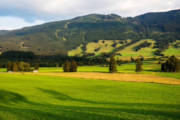 istock Landscape between Schwangau and Fussen towns, Germany 1041847260