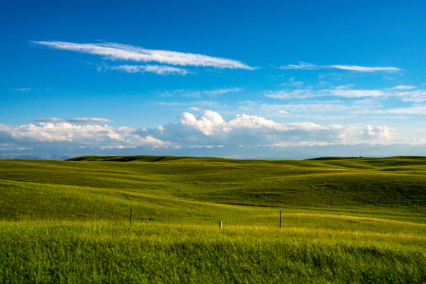 istock The grassland scenery,xinjiang,china 1041847868