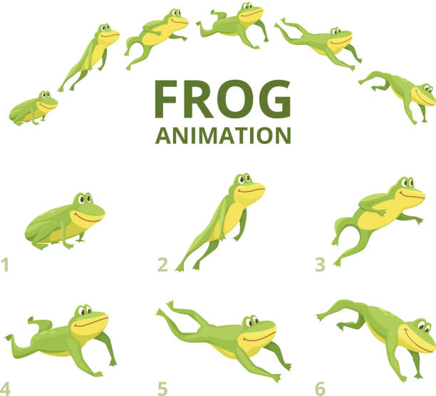 frosch springt animation. verschiedenen keyframes für grüne tier - frosch stock-grafiken, -clipart, -cartoons und -symbole