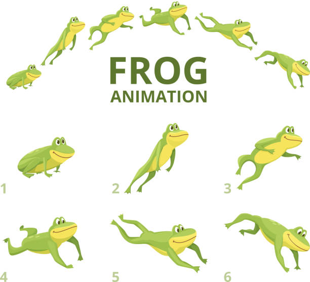 Frog jumping animation. Various keyframes for green animal Frog jumping animation. Various keyframes for green animal. Vector frog animation, jump amphibian animated illustration frog stock illustrations