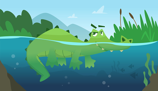 Crocodile in water. Alligator amphibian reptile wild green angry wild animal swimming vector cartoon background. Green alligator in river water, wildlife dangerous illustration