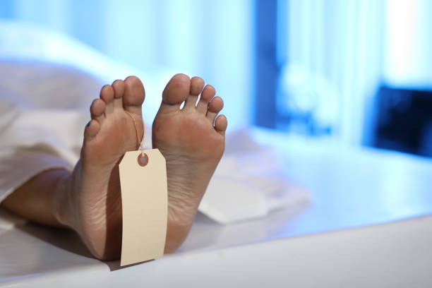 Corpse in morgue. Focus on toe tag. Dead woman's corpse in morgue.  Focus on toes, feet and toe tag. morgue stock pictures, royalty-free photos & images