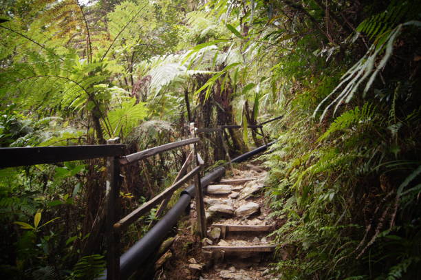 monte kinabalu - island of borneo foto e immagini stock