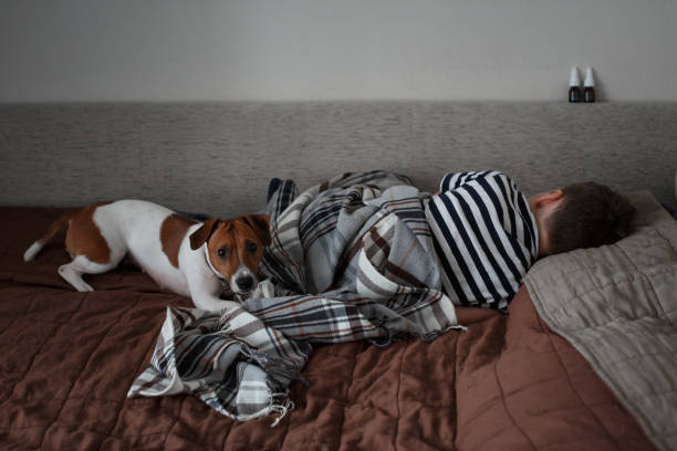 istock Sad dog on the couch next to a sick boy 1041897816