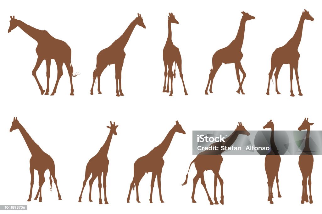 Shapes of giraffe isolated on white Eleven vector shapes of standing giraffe isolated on white background Giraffe stock vector