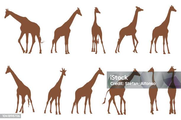 Shapes Of Giraffe Isolated On White Stock Illustration - Download Image Now - Giraffe, In Silhouette, Vector