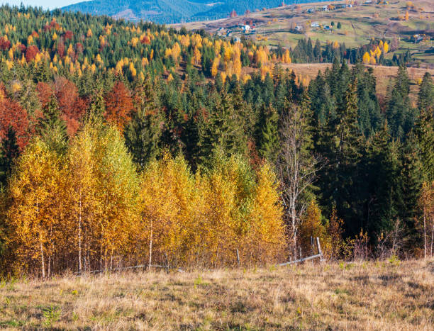istock Autumn Carpathian village, Ukraine. 1041902470