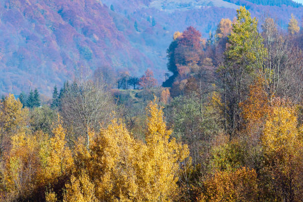 istock Autumn Carpathian mountains, Ukraine 1041912774