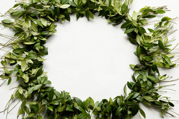 istock periwinkle leaves wreath minimalist foliage decor 1041921440