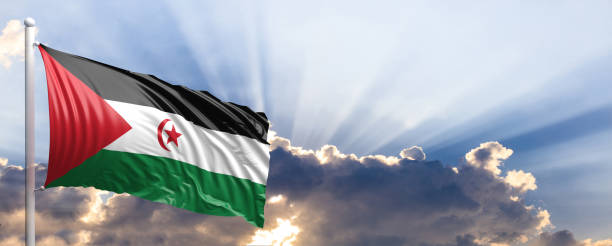 istock Western Sahara flag on blue sky. 3d illustration 1041924124