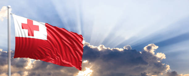 istock Tonga flag on blue sky. 3d illustration 1041924160