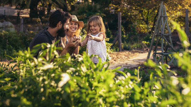 Family having fun in their farm Happy parents playing with their daughter at farm. Beautiful farmer family playing in their allotment. the farmer and his wife pictures stock pictures, royalty-free photos & images