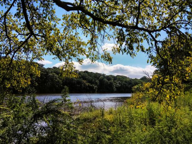 istock Autumn At The River 1041929646