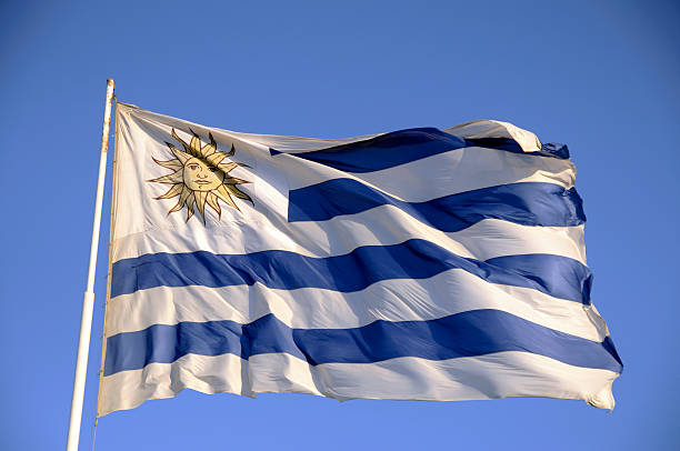 ウルグアイフラグを風に羽ばたく - uruguayan flag ストックフォトと画像