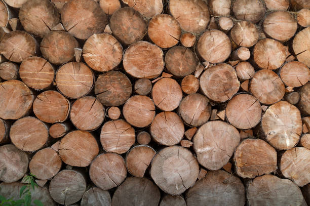 istock Natural wood texture background 1041943042