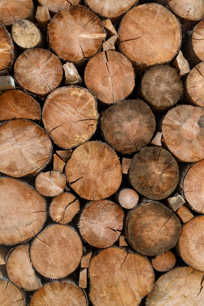 istock Natural wood texture background 1041943160
