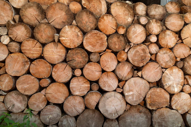 istock Natural wood texture background 1041943368