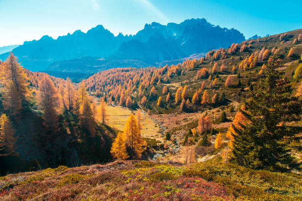 알파인 테리 아 계곡을 트레킹 하는 - val pusteria 뉴스 사진 이미지