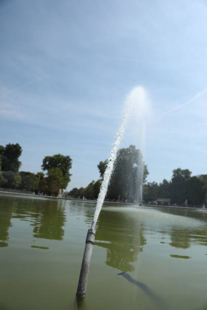 2022 Pathway in Jardin des Tuileries with tree lined. Paris, France.