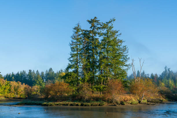 istock Mud Bay Sunrise and Low Tide 1041951254