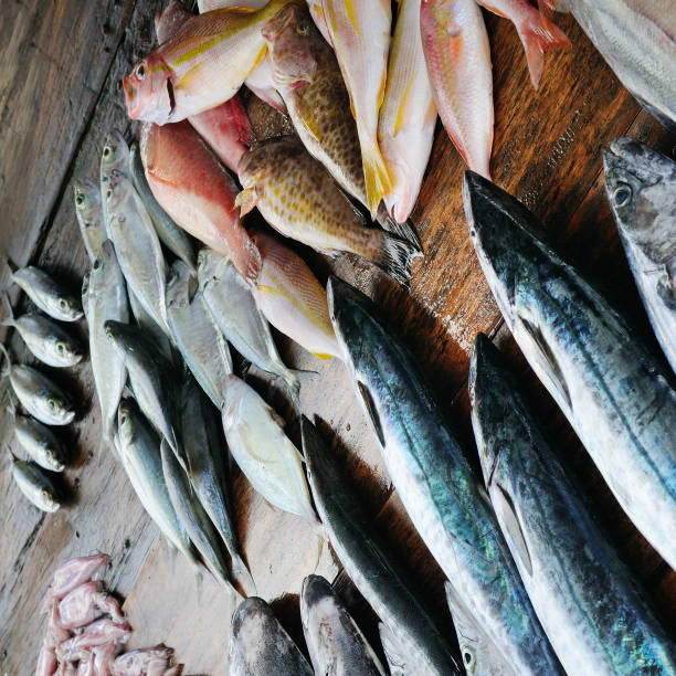 istock Fresh fish and squid on a wooden table. 1041952134