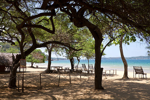 istock Shady Tropical Beach Club 104195384