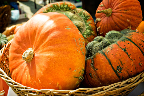 una variedad de calabazas inusuales y coloridos - maple leaf close up symbol autumn fotografías e imágenes de stock