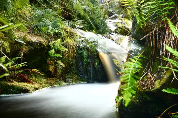 Long exposure image of a moorland stream flowing on ilkley moor Yorkshire UK