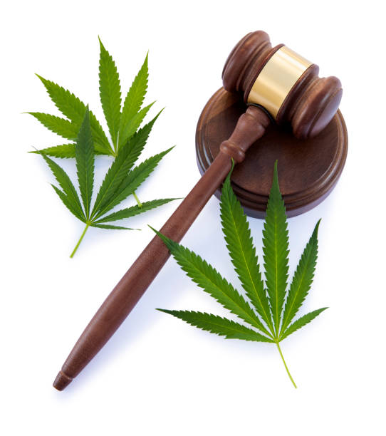 istock Cannabis leaf and gavel on white background 1041971770