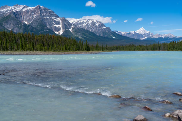 istock Along the Bow River in Jasper National Park 1041973216