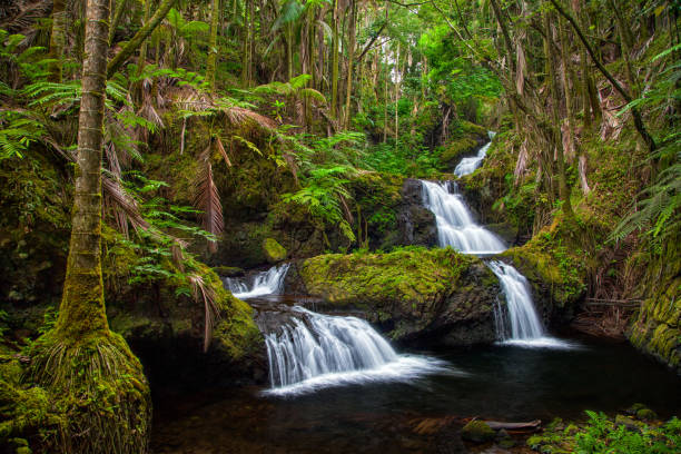 istock Onomea Falls in Hawaii tropical botanical gardens 1041978160