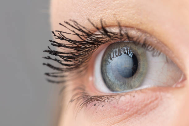 istock Female eye macro shot 1041981162