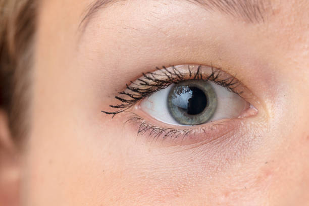 istock Female eye macro shot 1041981224