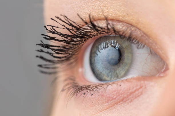 istock Female eye macro shot 1041981324