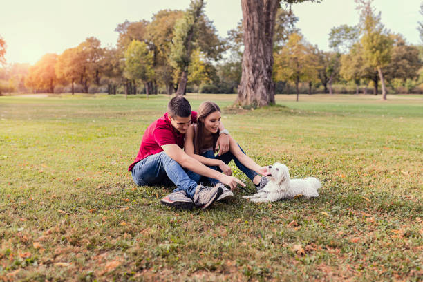 istock We brought our best friend along with us 1041987112